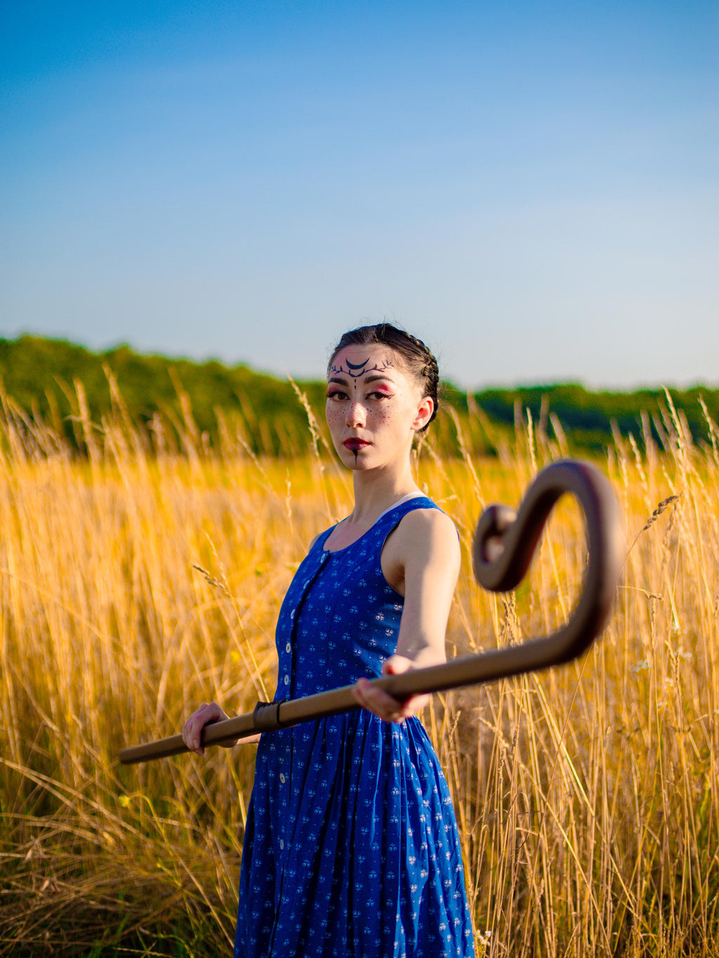 The Shepherd’s Staff of Harmony – Cosplay Wooden Walking Stick, Rustic Forest Decor, Natural Woodcraft