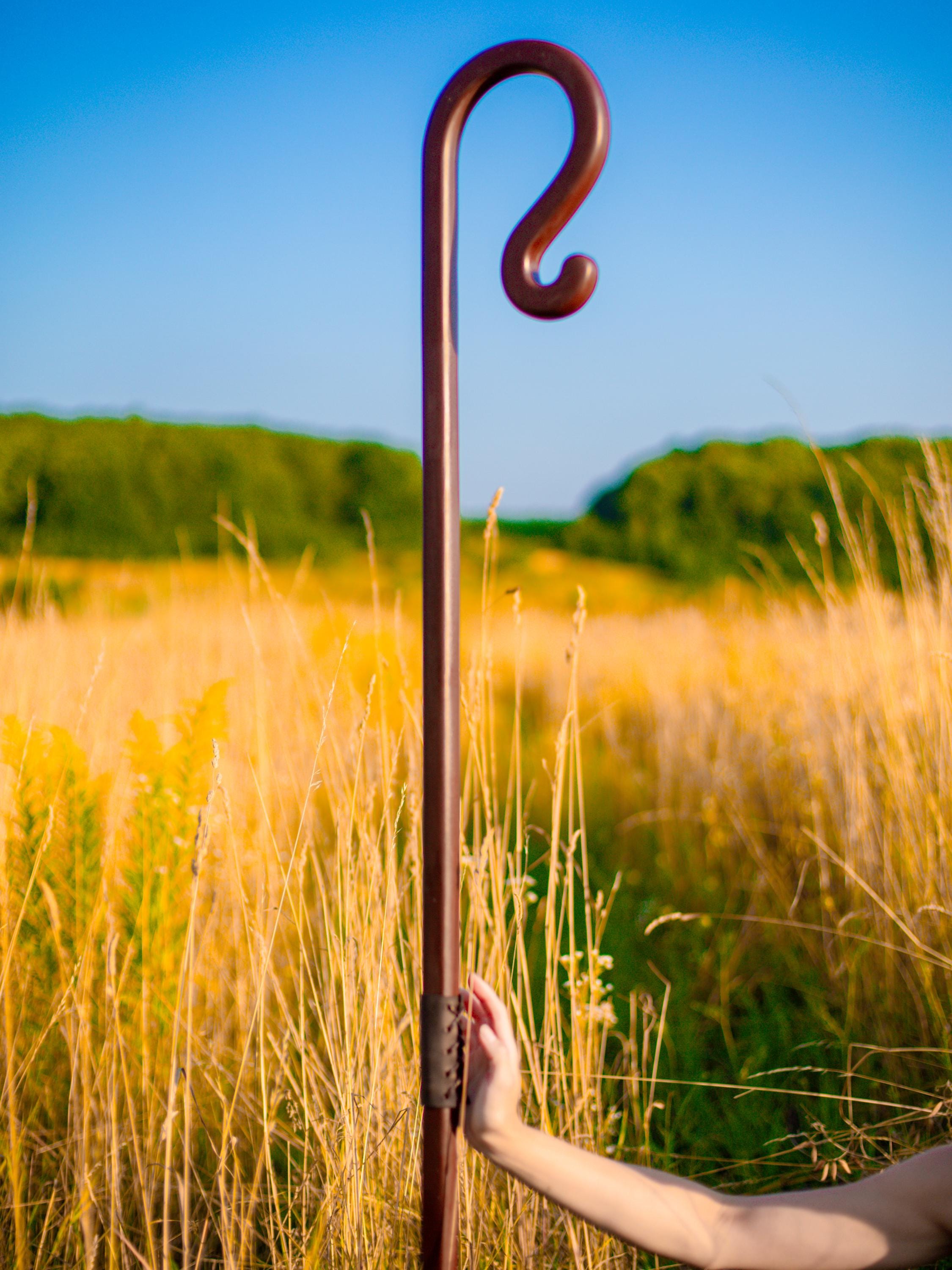 The Shepherd’s Staff of Harmony – Cosplay Wooden Walking Stick, Rustic Forest Decor, Natural Woodcraft