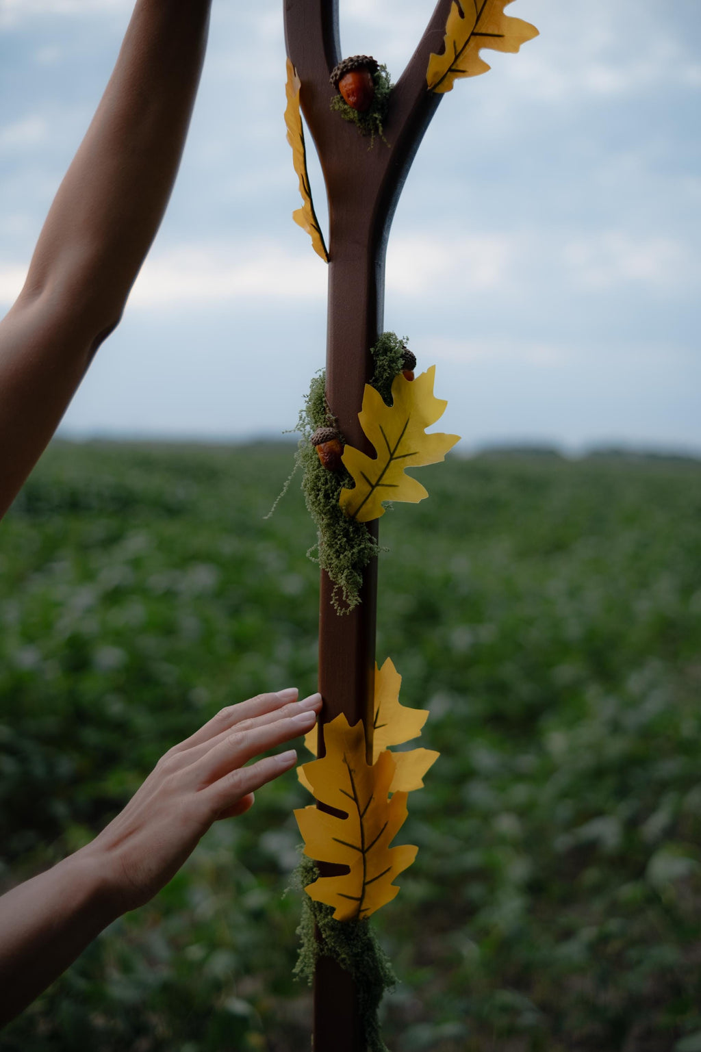 Oak Druid Staff – Fantasy Cosplay Prop with Acorns, Leaves and Moss, Wooden LARP Nature Mage Wand