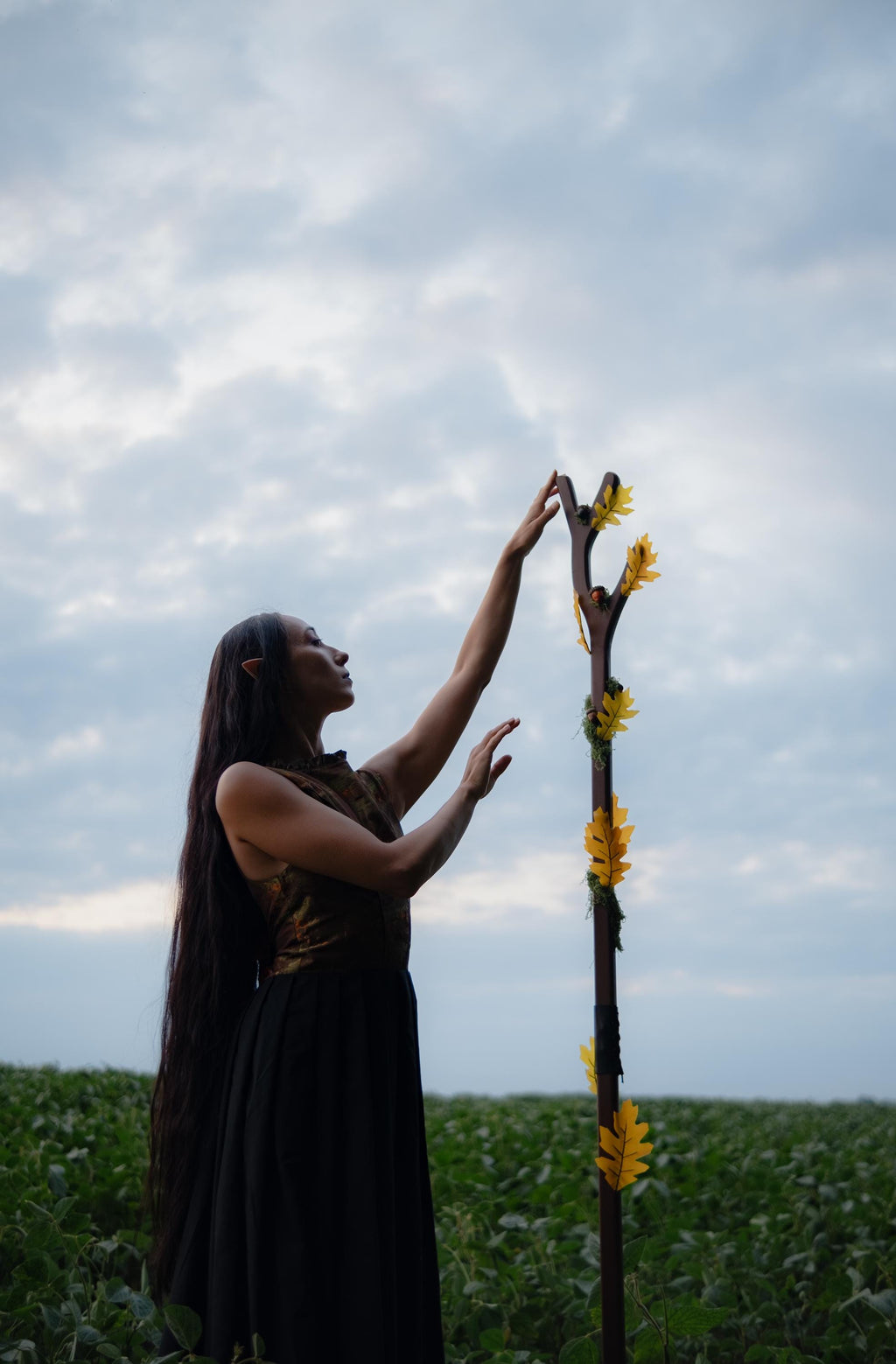 Oak Druid Staff – Fantasy Cosplay Prop with Acorns, Leaves and Moss, Wooden LARP Nature Mage Wand