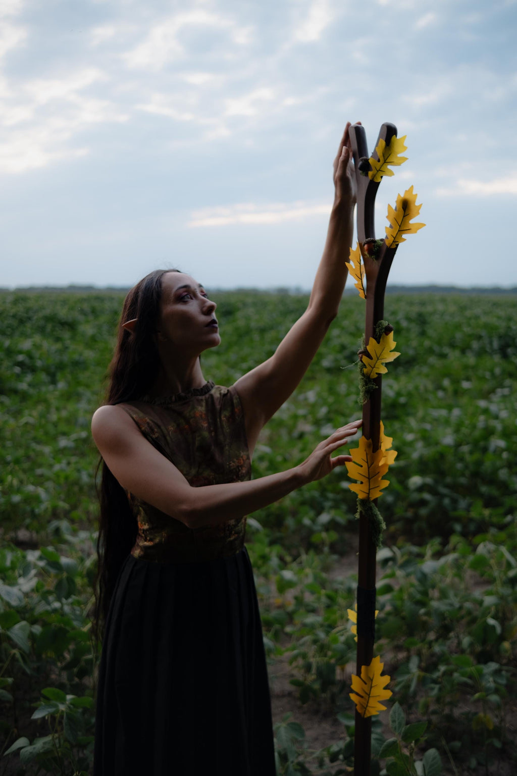 Oak Druid Staff – Fantasy Cosplay Prop with Acorns, Leaves and Moss, Wooden LARP Nature Mage Wand