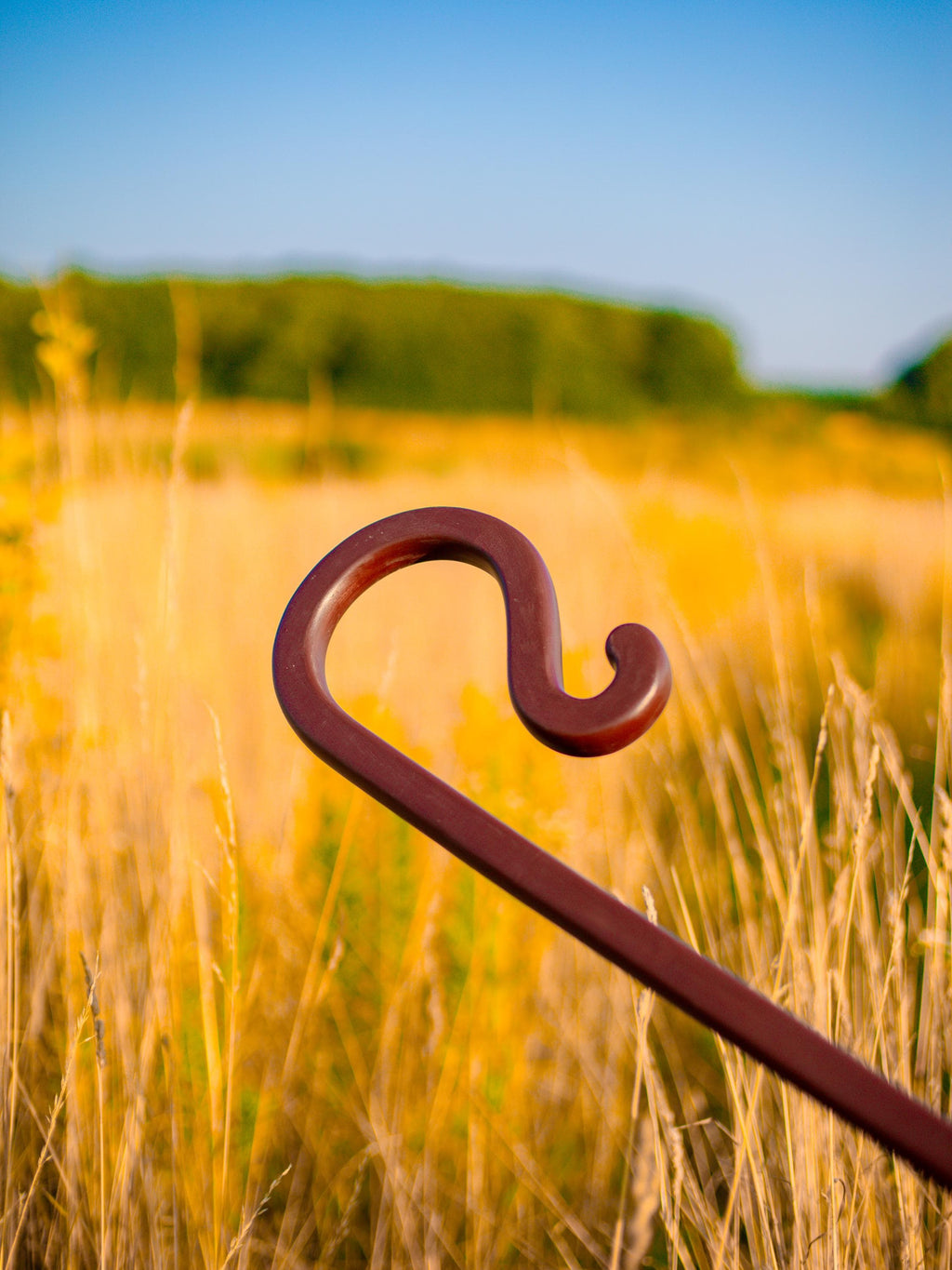 The Shepherd’s Staff of Harmony – Cosplay Wooden Walking Stick, Rustic Forest Decor, Natural Woodcraft