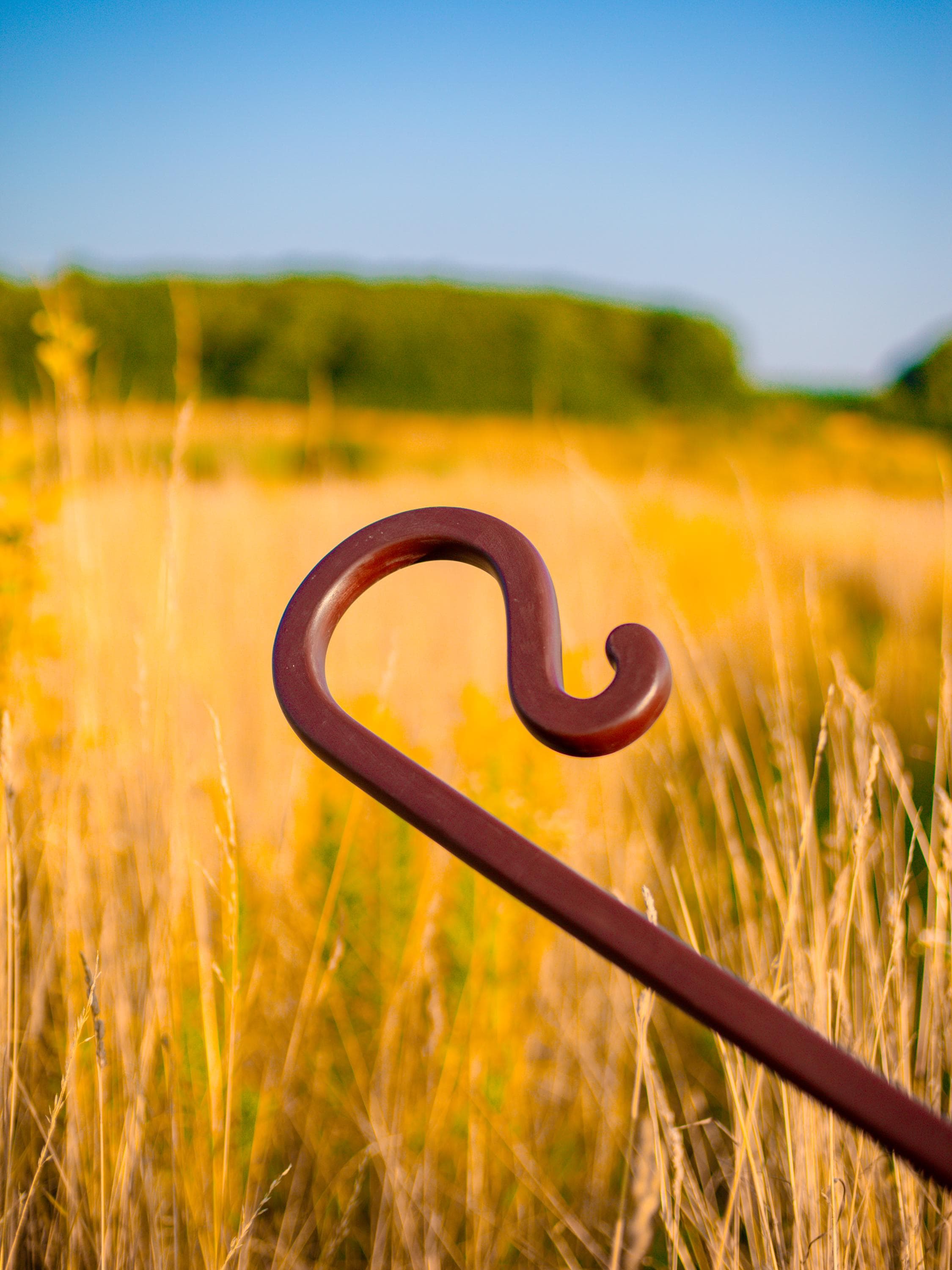 The Shepherd’s Staff of Harmony – Cosplay Wooden Walking Stick, Rustic Forest Decor, Natural Woodcraft